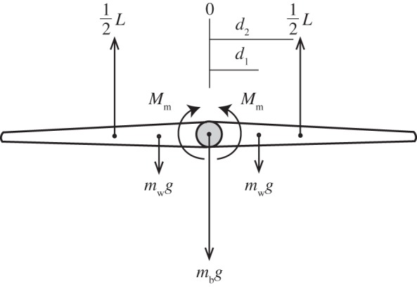 Figure 8.