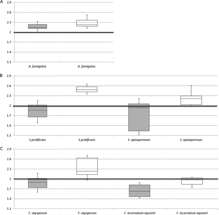 FIG 1