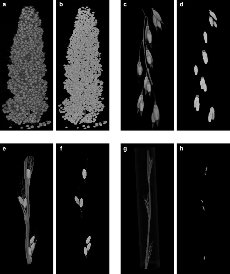 Fig. 8