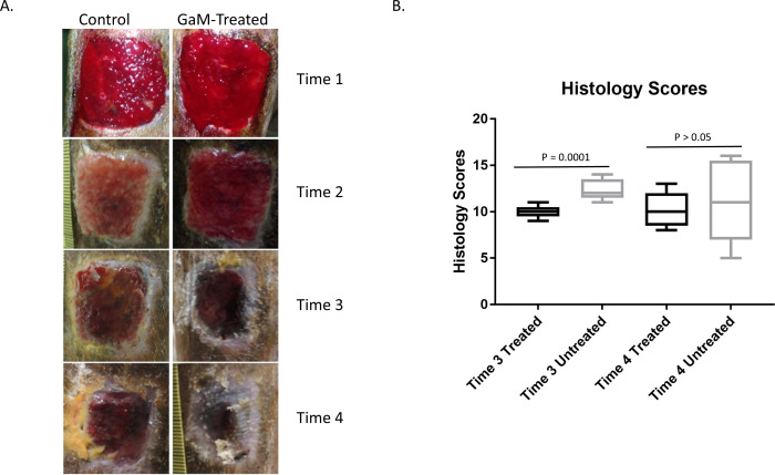 Fig 4