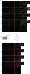 Figure 7