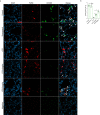 Figure 3