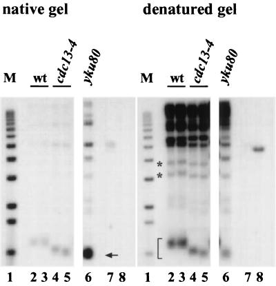 FIG. 9