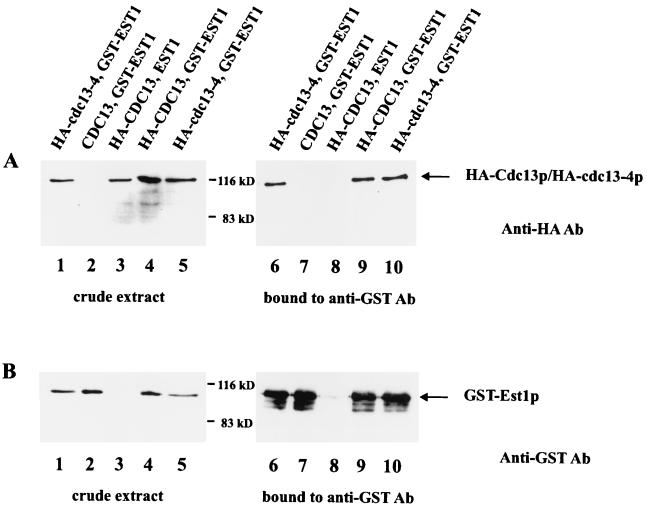 FIG. 7