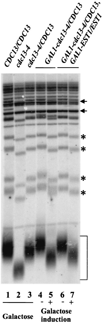 FIG. 8