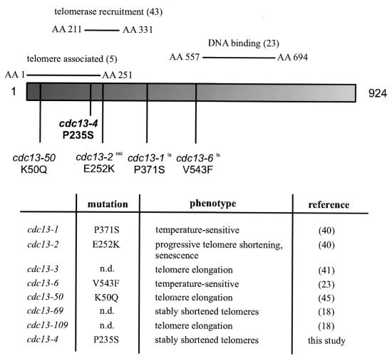 FIG. 10