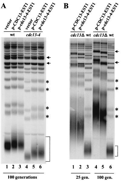 FIG. 6