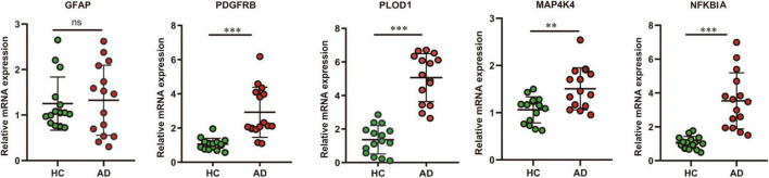 FIGURE 9