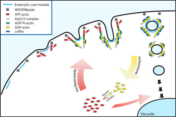 Figure 7.