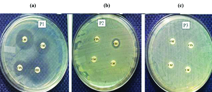 [Table/Fig-4]: