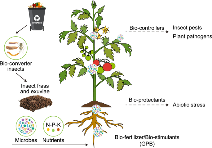 Fig. 2