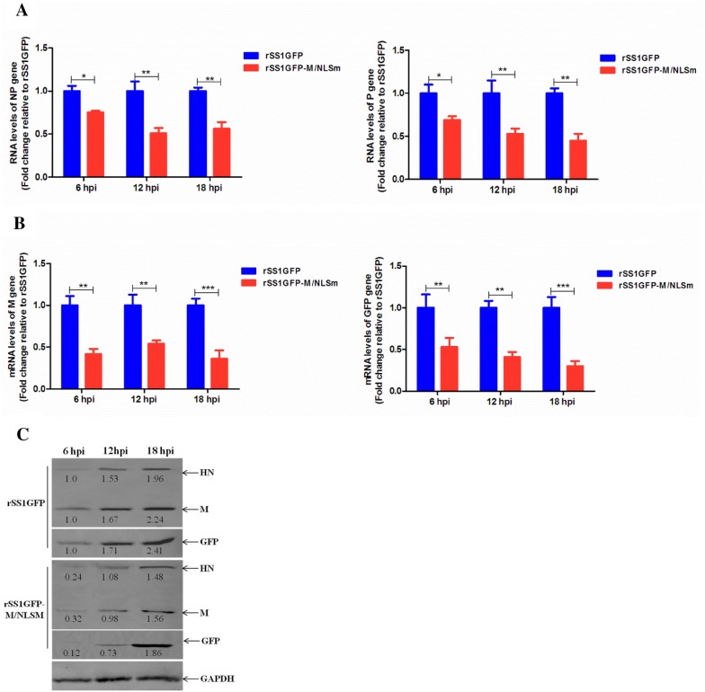 Figure 3