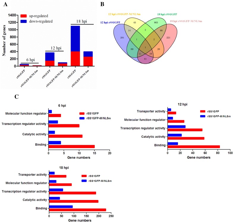 Figure 4