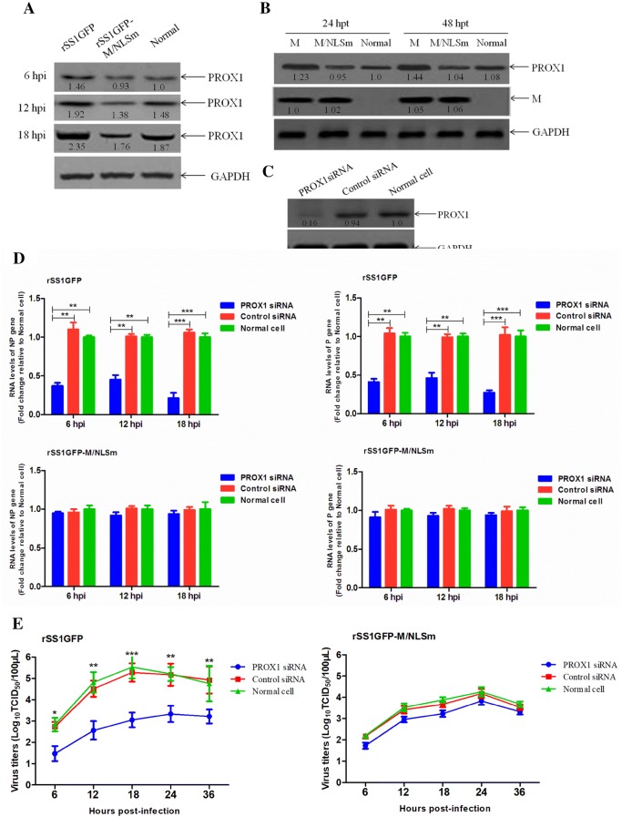 Figure 6