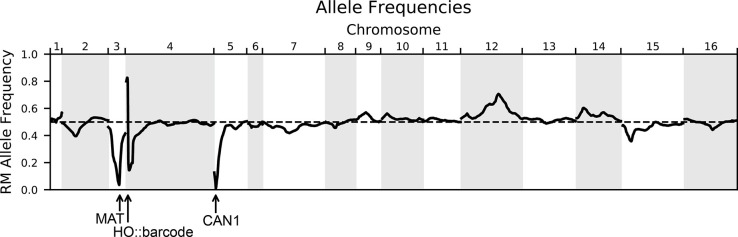 Figure 1—figure supplement 3.