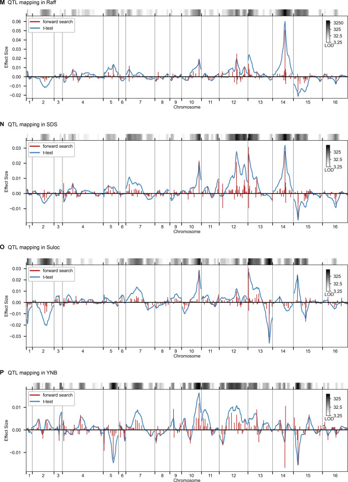 Figure 2—figure supplement 4.