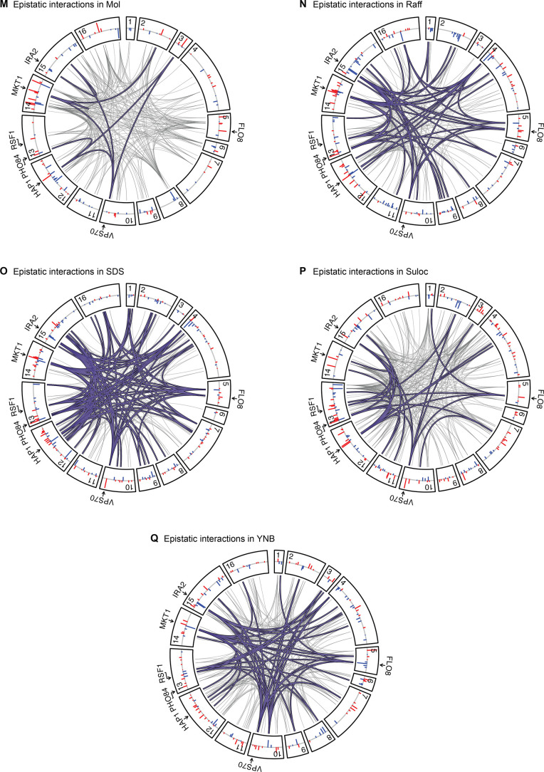 Figure 4—figure supplement 3.