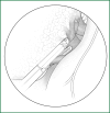 Figure 56
