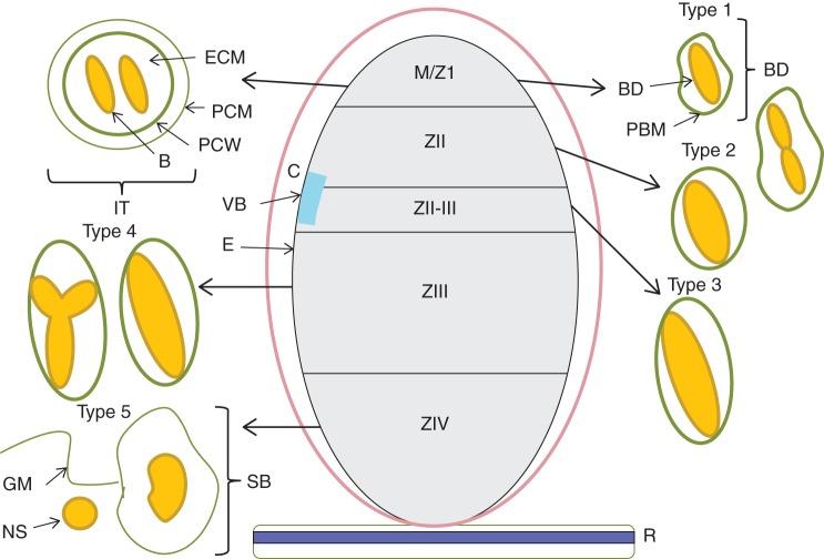 Fig. 1.