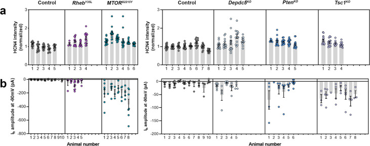 Figure 3—figure supplement 1.