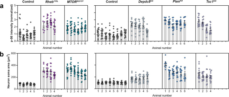 Figure 1—figure supplement 1.