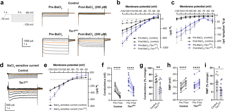 Figure 3—figure supplement 3.