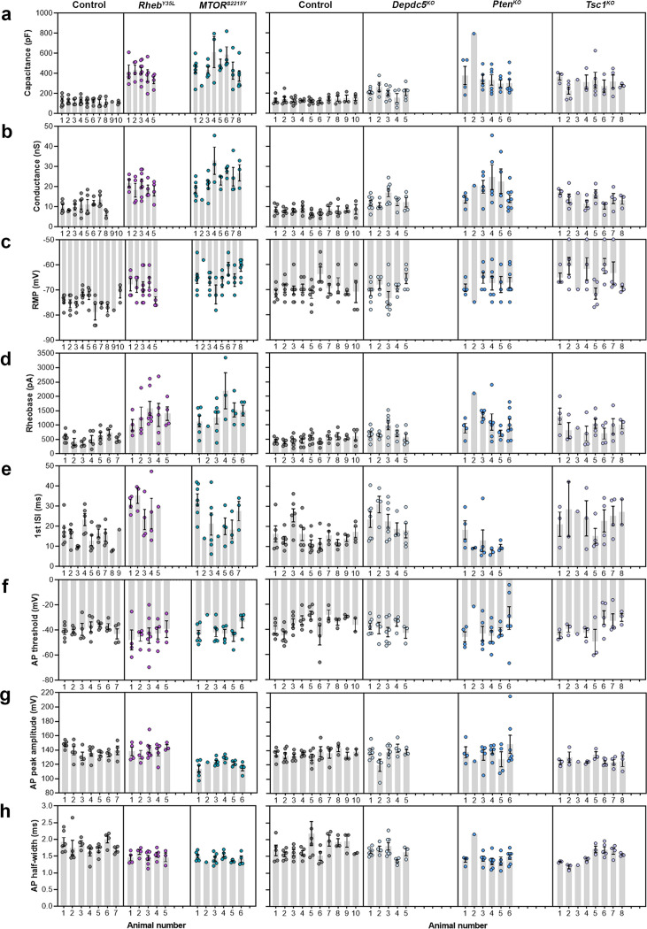 Figure 2—figure supplement 1.