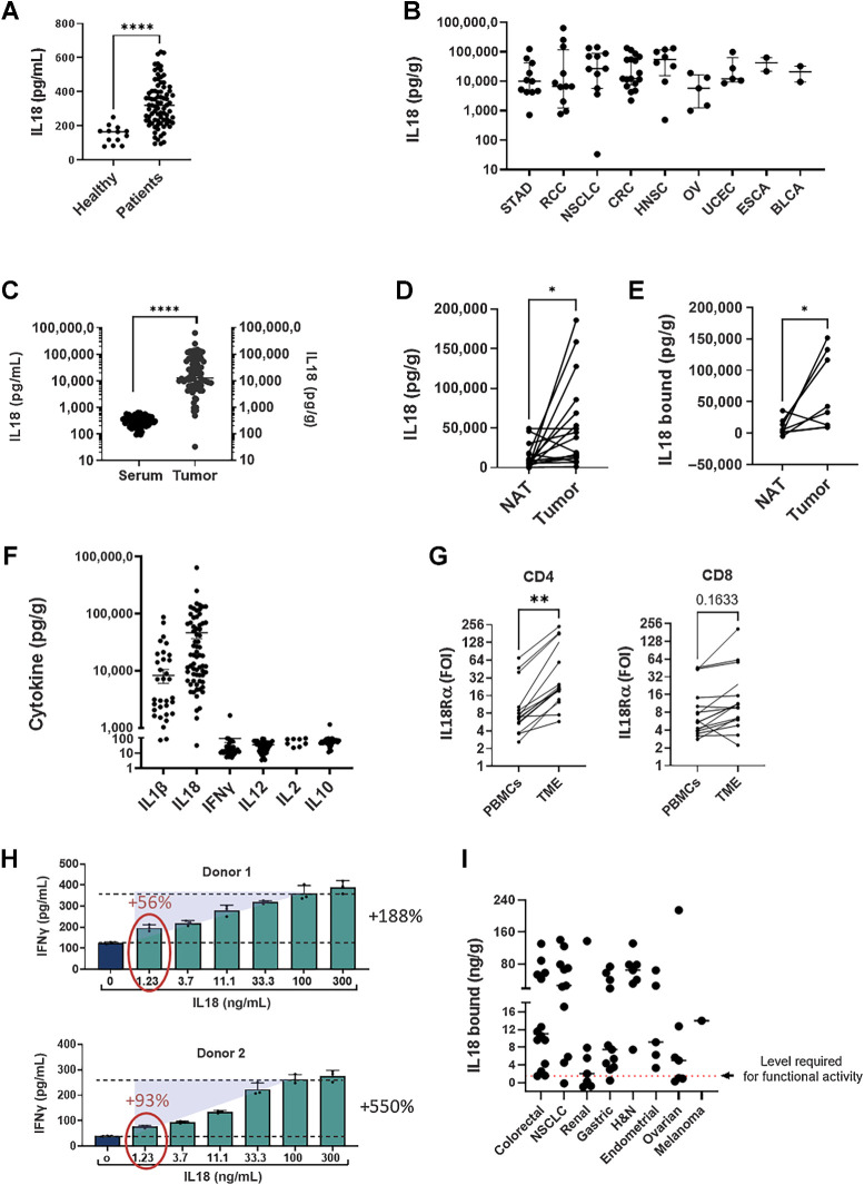 Figure 2. IL18 is upregulated in patients with cancer and in the TME and mostly inactive. Tumor biopsies, normal tissues adjacent to the tumors (NAT) and serum samples from patients with cancer and healthy donors were analyzed. Tumor biopsies and NATs were dissociated, and supernatant was collected. IL18 and cytokine expression were analyzed using ELISA, CBA, and LEGENDplex kits. A, IL18 levels in sera from patients with cancer (n = 81) and healthy donors(n = 13). B, IL18 expression in tumor-derived supernatants (TDS) from individual patients across indications (n = 75). C, IL18 expression in sera and TDS. D, IL18 expression in matched NAT and tumor-derived supernatant samples (n = 17). E, Levels of IL18BP-bound IL18 in matched NAT and tumor-derived supernatant samples (n = 7). IL18BP-bound IL18 levels (n = 65) were calculated by deducting IL18 free from total IL18 measured for each sample by two separate ELISA assays. F, Cytokine expression in TDS (n = 56) were analyzed using CBA TH1/TH2/TH17 and LEGENDplex Human Inflammation Panel 1 kits. G, T cells were purified from tumor biopsies and matched PBMC (n = 16) and stained for IL18Ra expression by flow cytometry. H, Ex vivo stimulated human melanoma CD8+ TILs (n = 2) were co-cultured with melanoma antigen-expressing MEL624 cells in the presence of rIL18 (0–300 ng/mL) for 24 hours, after which supernatants were analyzed for IFNγ secretion. I, Levels of bound IL18 in tumor derived supernatants across indications. Tumor biopsies were dissociated, and supernatants were collected and analyzed using free and total IL18 ELISA assays. IL18BP-bound IL18 levels were calculated by deducting IL18 free from total IL18 measured for each sample by two separate ELISA assays. Dashed red line represents the level required for functional activity (1.2 ng/g). Each dot represents 1 patient. The median is depicted by a short black line. *, P < 0.05; **, P < 0.01; ***, P < 0.0001 by two-tailed t test or Mann–Whitney test.