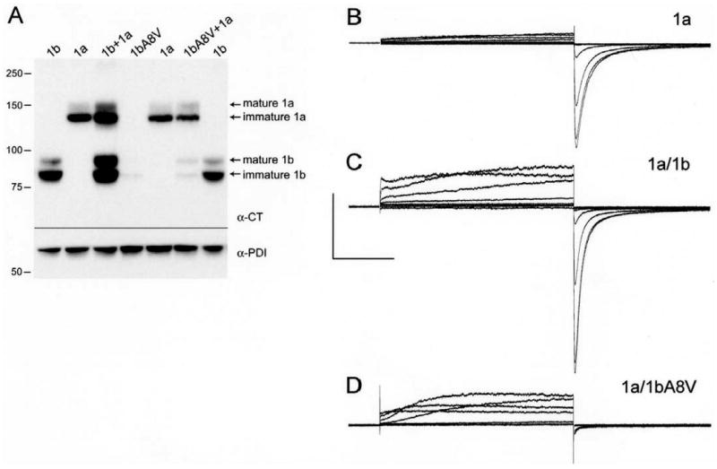 Fig 11