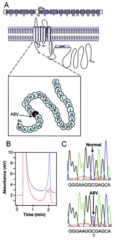 Fig 10