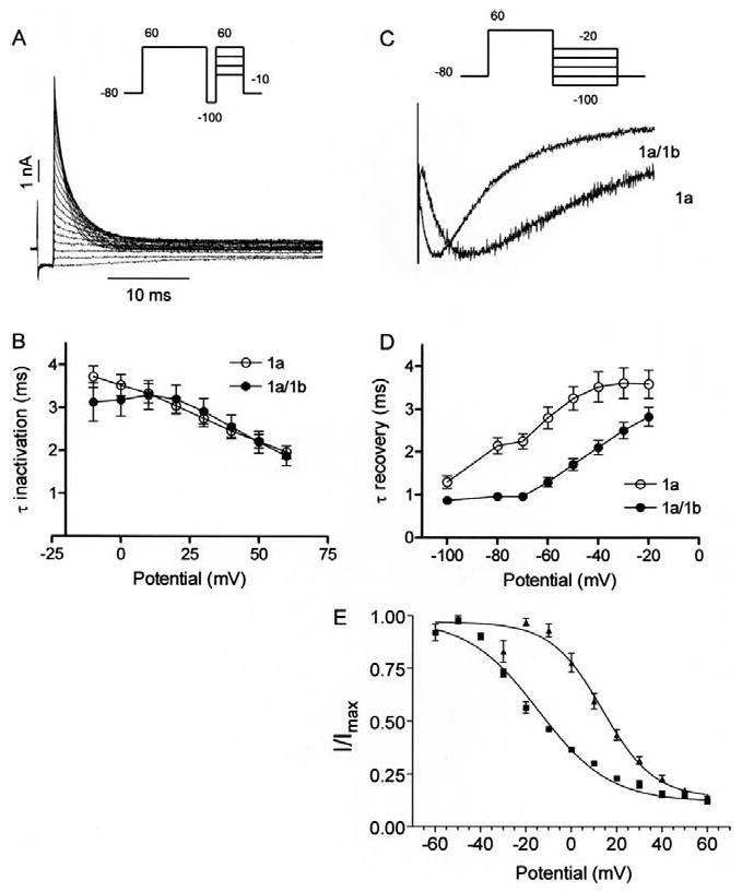 Fig 4