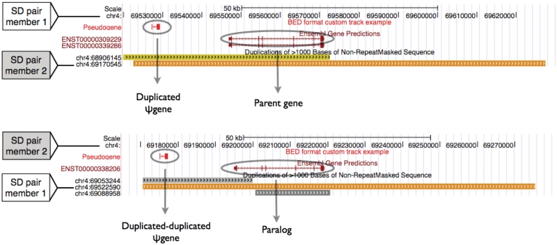 Figure 4.