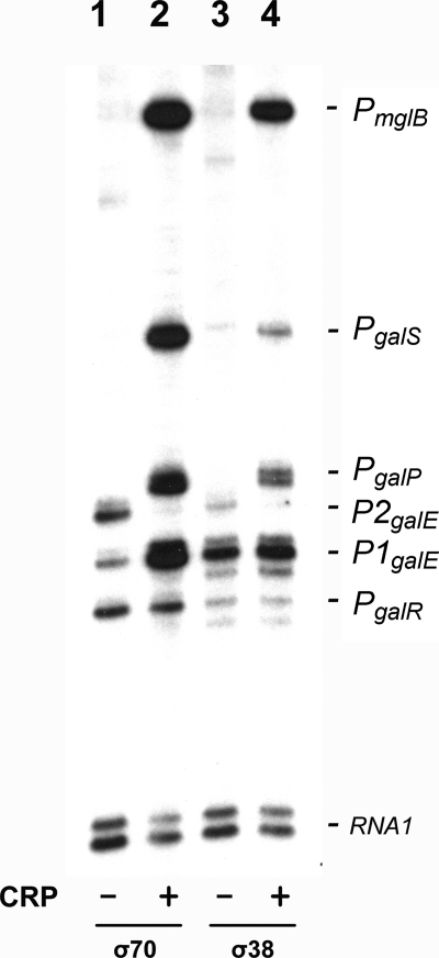 FIGURE 5.