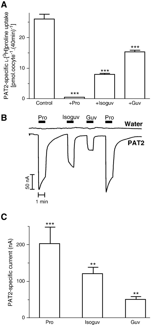 Fig. 4