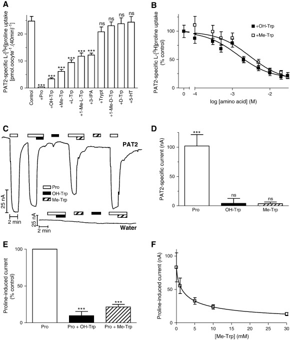 Fig. 6