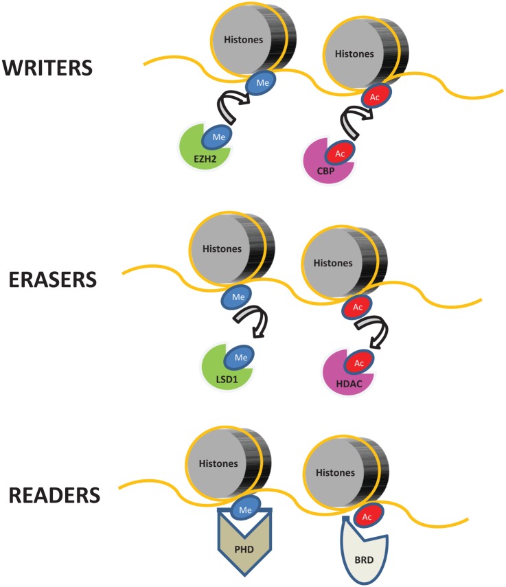 Figure 1.