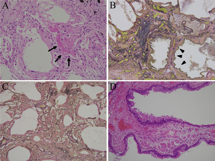 Fig. 4