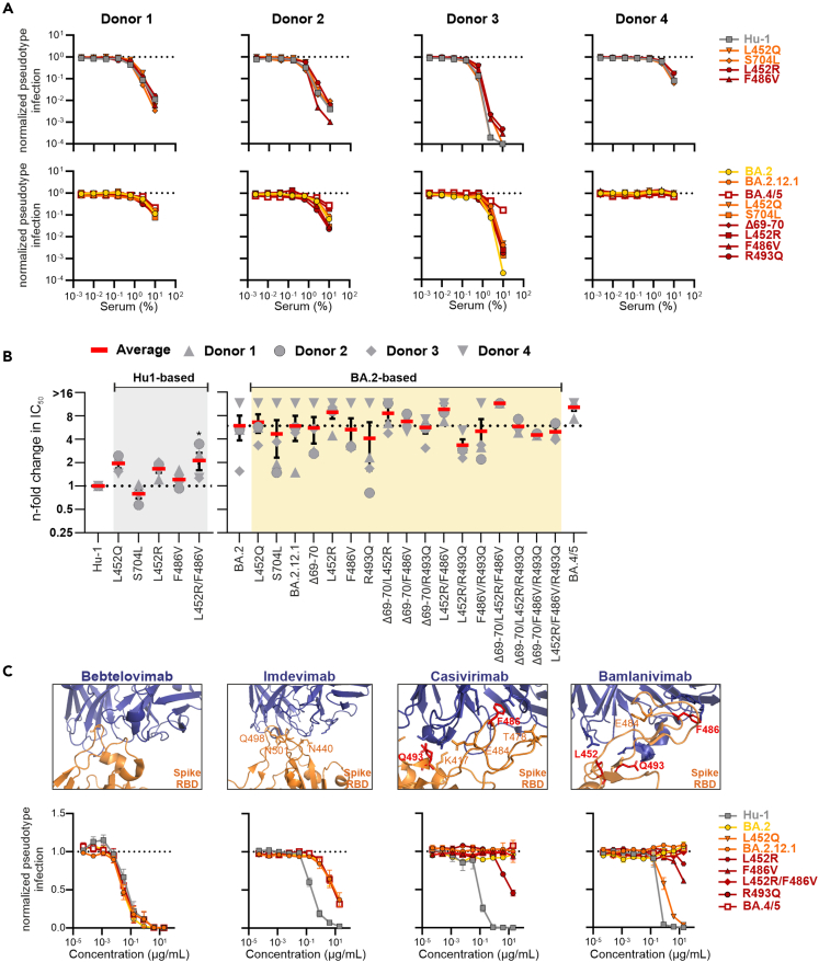 Figure 4