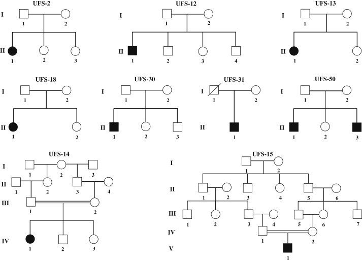 Figure 1