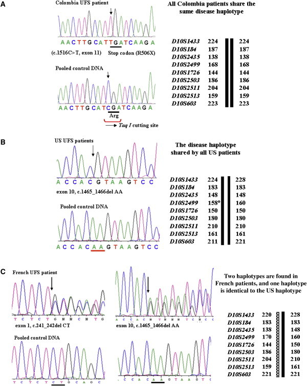 Figure 4