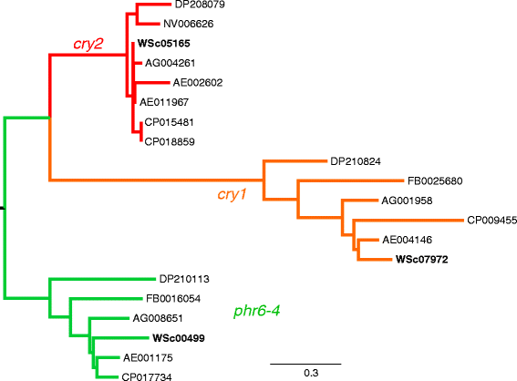 Fig. 3