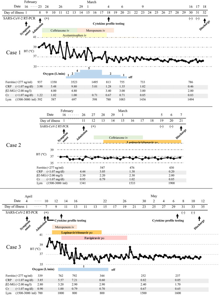 FIGURE 1