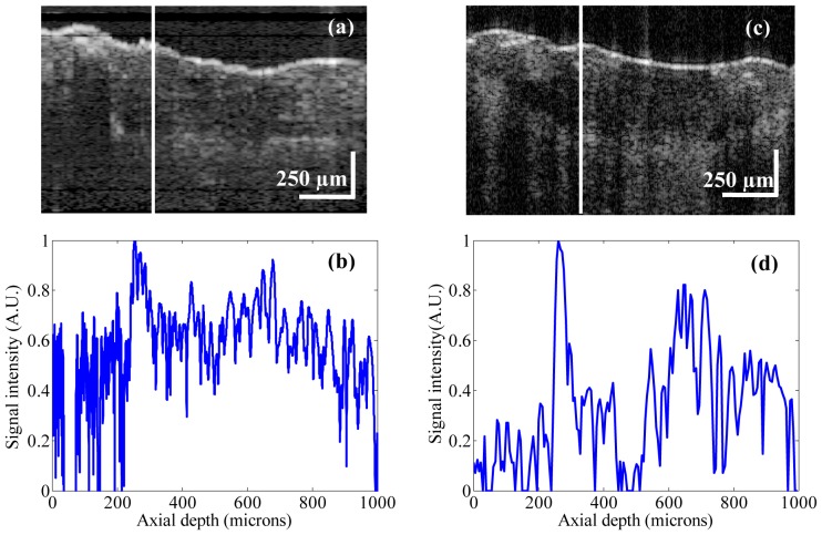 Fig. 10