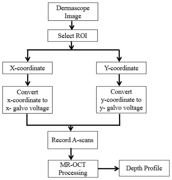 Fig. 4