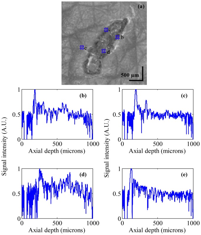 Fig. 9