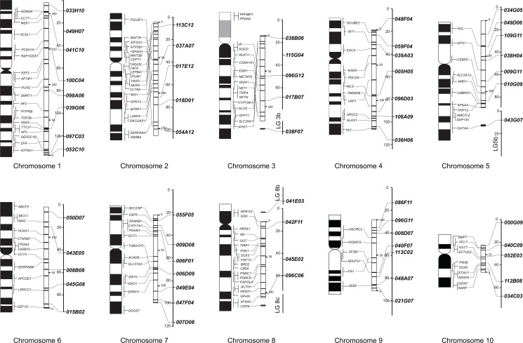 Fig 2