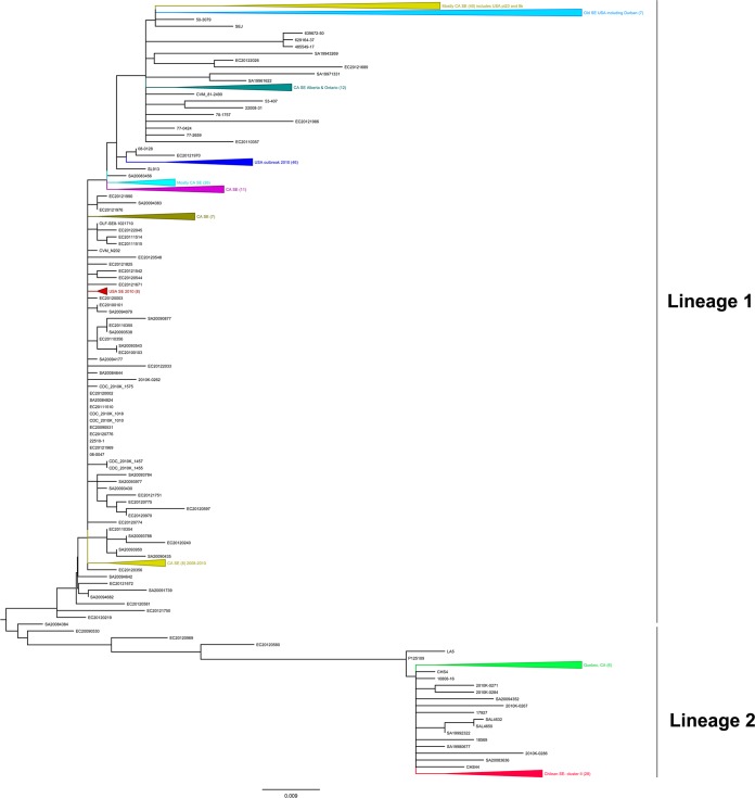 FIG 3