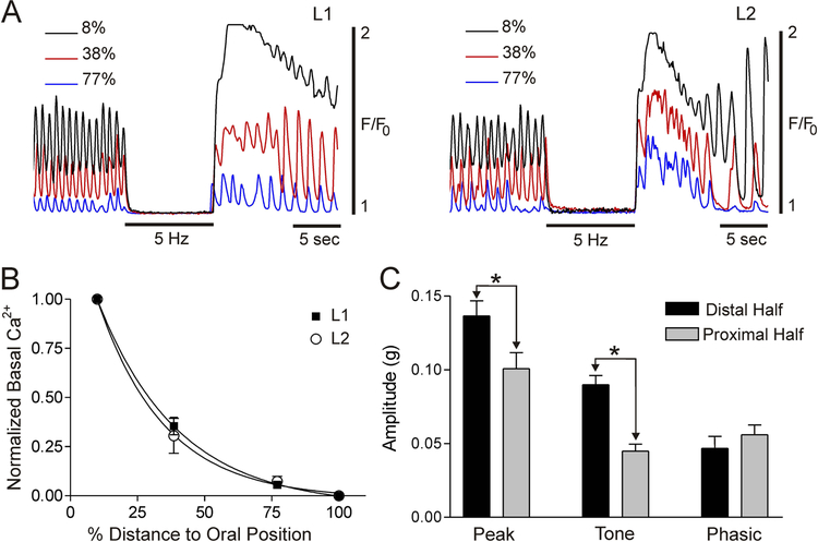 Figure 7.