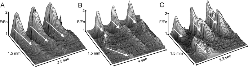 Figure 3.