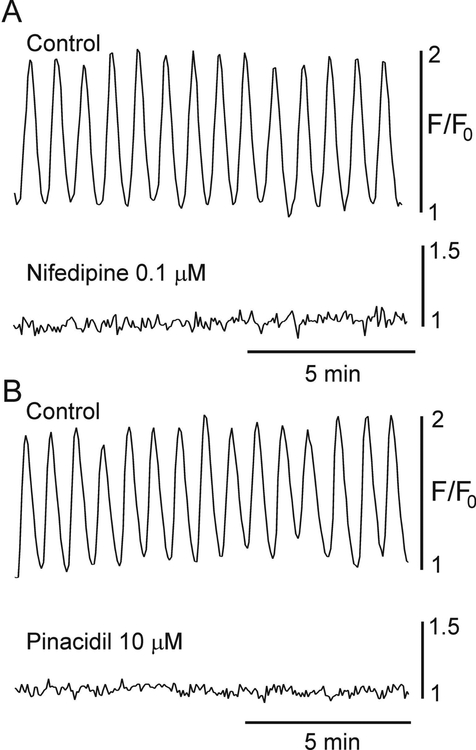 Figure 5.